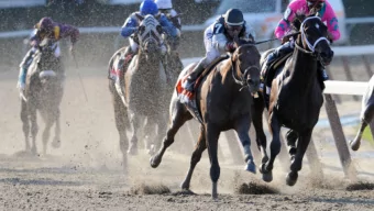 #  #  #  #  #  # $250 % $2500 %  $30,000%/%year%  Price:%$1,250%  Cost:%$350%  Cash#Flow#