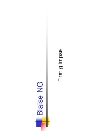 Blaise NG  Key issues in current system  Language enhancements  Layout  Unicode