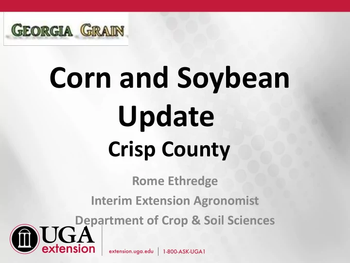 corn and soybean