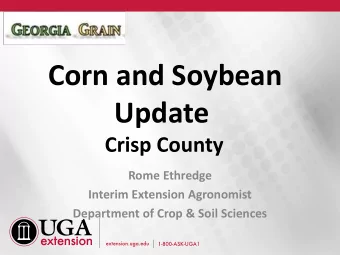Corn and Soybean  Update  Crisp County  Rome Ethredge  Interim Extension Agronomist  Department of