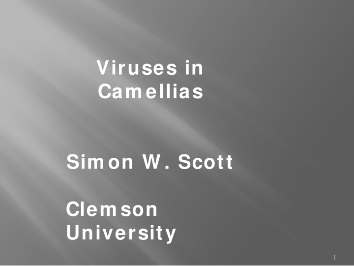 viruses in cam ellias sim on w scott clem son university