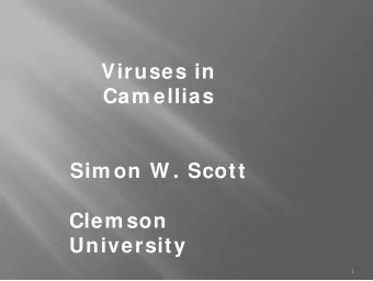 Viruses in  Cam ellias  Sim on W . Scott  Clem son  University  1  I n plants all viruses are