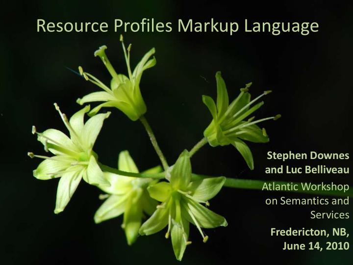 resource profiles markup language