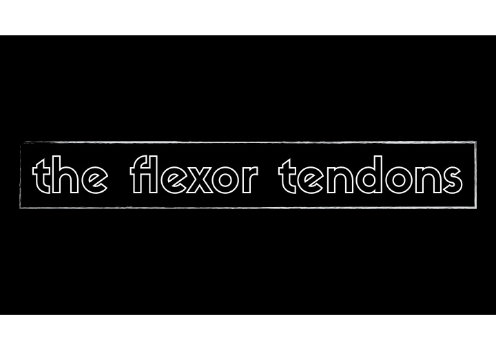 the flexor tendons flexor digitorum profundus flexor