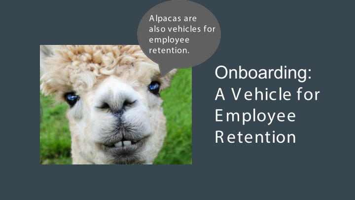 onboarding a vehicle for employee r etention alpacas