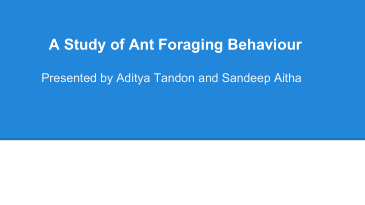 a study of ant foraging behaviour