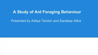 A Study of Ant Foraging Behaviour  Presented by Aditya Tandon and Sandeep Aitha  PPpppreB  Ants are