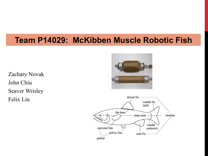 team p14029 mckibben muscle robotic fish