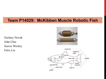 Team P14029:  McKibben Muscle Robotic Fish  Zachary Novak  John Chiu  Seaver Wrisley  Felix Liu