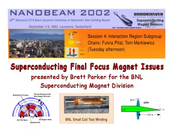 Session 4: Interaction Region Subgroup  Chairs: Fulvia Pilat, Tom Markiewicz  (Tuesday afternoon)