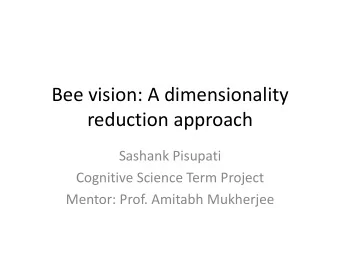 reduction approach  Sashank Pisupati  Cognitive Science Term Project  Mentor: Prof. Amitabh