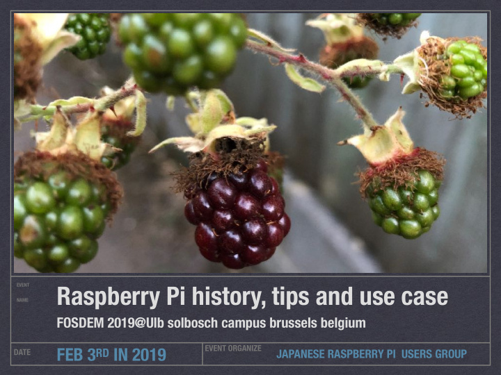 raspberry pi history tips and use case