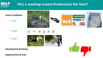 =      Scope  Development &amp; timing  Opportunities &amp; risks  The BBOP