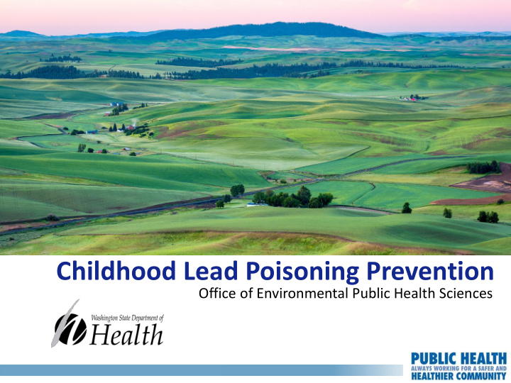 childhood lead poisoning prevention