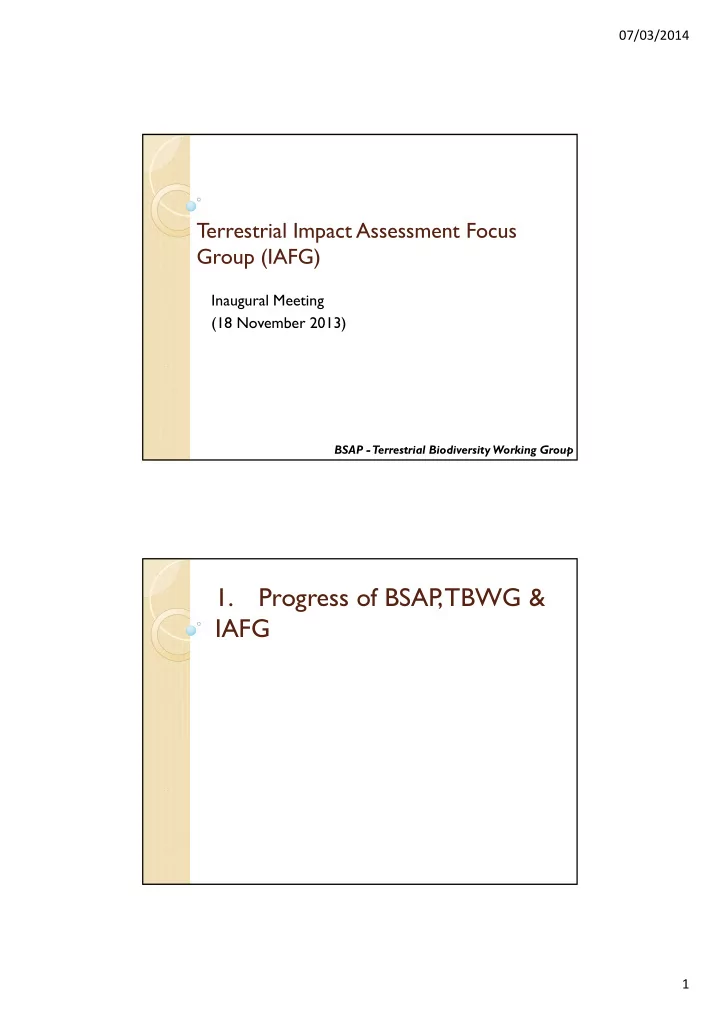 1 progress of bsap tbwg iafg