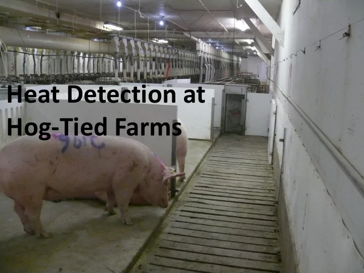 hog tied farms