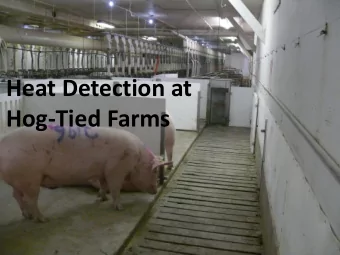 Hog-Tied Farms  Nepad Heat Detection:  Sows in estrus (right) can visit the boar (left) at the heat