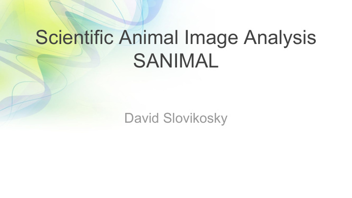 scientific animal image analysis sanimal