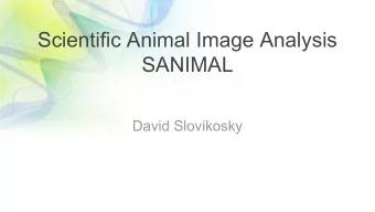 Scientific Animal Image Analysis  SANIMAL  David Slovikosky  UofA Jaguar and Ocelot Monitoring