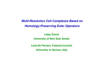 Multi-Resolution Cell Complexes Based on  Homology-Preserving Euler Operators  Lidija   Comi  c