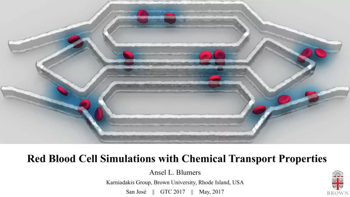 red blood cell simulations with chemical transport