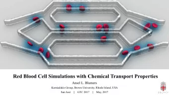 Red Blood Cell Simulations with Chemical Transport Properties  Ansel L. Blumers  Karniadakis Group,
