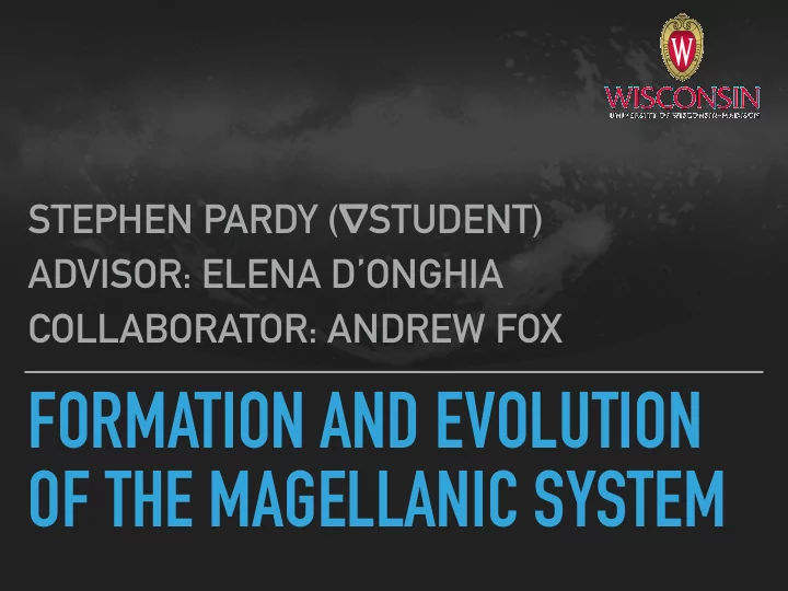 formation and evolution of the magellanic system stephen