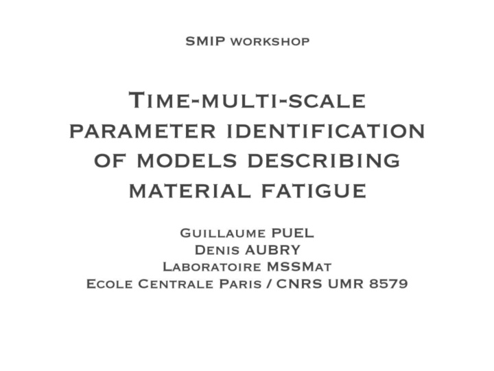 time multi scale parameter identification of models