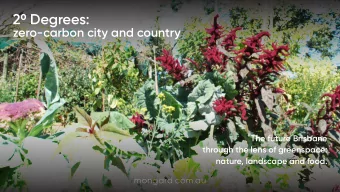 20 Degrees:  zero-carbon city and country  The future Brisbane  through the lens of greenspace: