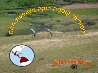 Crested Caracara     Black Volture     Neotropic Cormorant