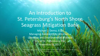 An Introduction to  St. Petersburgs North Shore  Seagrass Mitigation Bank  Michael J. Dema, Esq.