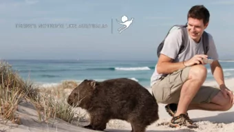 John Daw  Glen Davis  Gina Woodward  Executive Officer  Executive Officer  Distribution Development