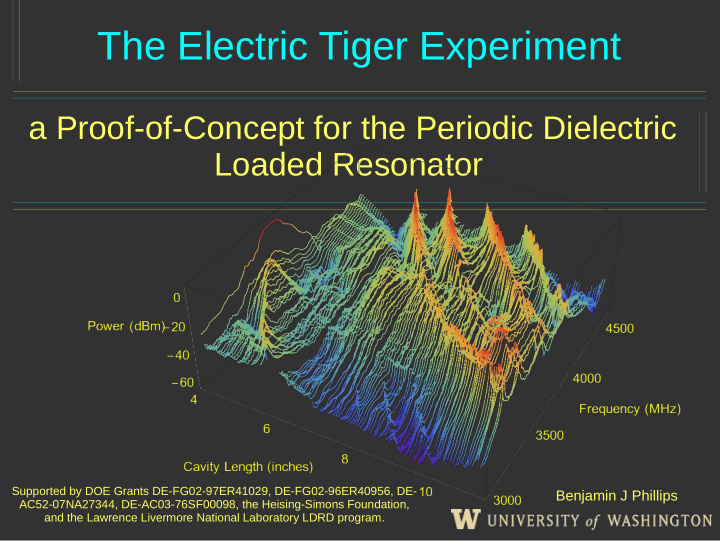 the electric tiger experiment