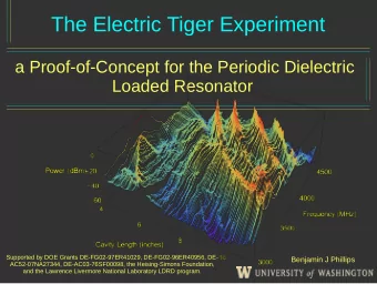 The Electric Tiger Experiment  a Proof-of-Concept for the Periodic Dielectric  Loaded Resonator