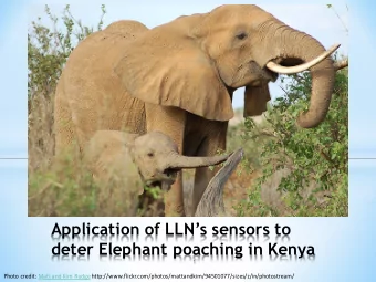 Application of LLNs sensors to  deter Elephant poaching in Kenya  1  Photo credit: Matt and Kim