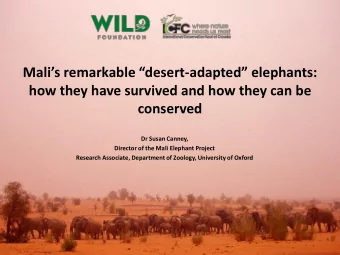 how they have survived and how they can be  conserved  Dr Susan Canney,  Director of the Mali