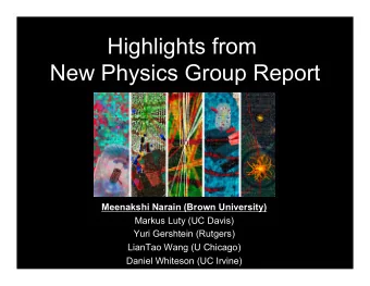 Highlights from  New Physics Group Report  Meenakshi Narain (Brown University)  Markus Luty (UC