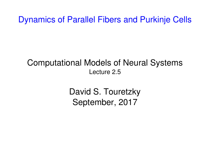 dynamics of parallel fibers and purkinje cells