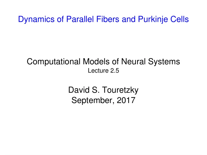 dynamics of parallel fibers and purkinje cells
