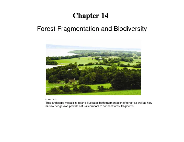 chapter 14