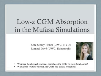 Low-z CGM Absorption  in the Mufasa Simulations  Kate Storey-Fisher (UWC, NYU)  Romeel Dav (UWC,