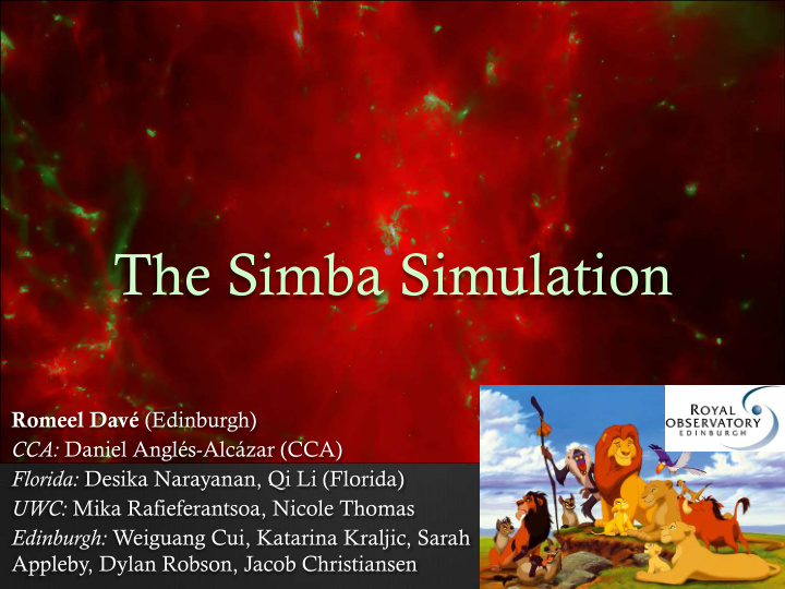 the simba simulation