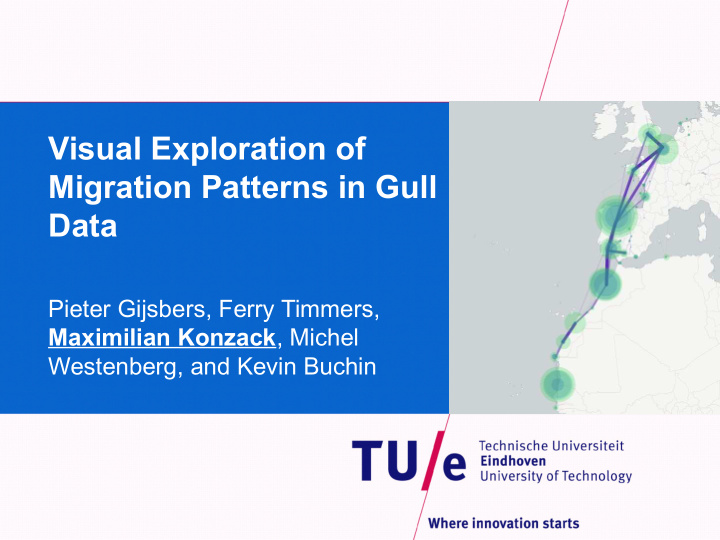 visual exploration of migration patterns in gull data