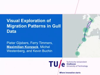Visual Exploration of  Migration Patterns in Gull  Data  Pieter Gijsbers, Ferry Timmers, Maximilian