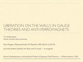 LIBERATION ON THE WALLS IN GAUGE  THEORIES AND ANTI-FERROMAGNETS  Tin Sulejmanpasic  North Carolina