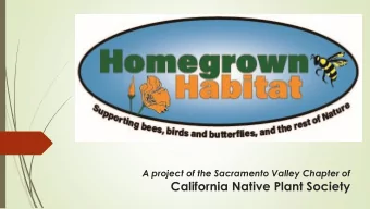 California Native Plant Society Homegrown Habitat , supporting bees,  birds and butterflies and the