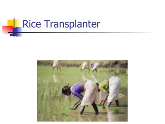 Rice Transplanter  Rice Market n 20% of the world  s  calorie supply, and 30% of Asia  s