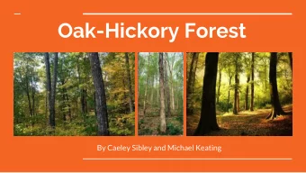 Oak-Hickory Forest  By Caeley Sibley and Michael Keating  Features of Oak-Hickory Forests...  Soils