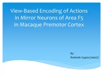 View-Based Encoding of Actions  in Mirror Neurons of Area F5  in Macaque Premotor Cortex  By: