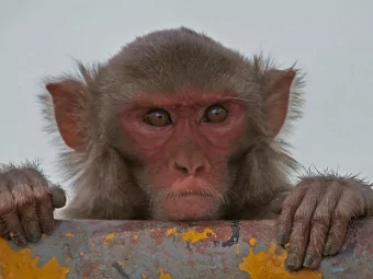 All correct trials + smoothing + normalisation + clustering